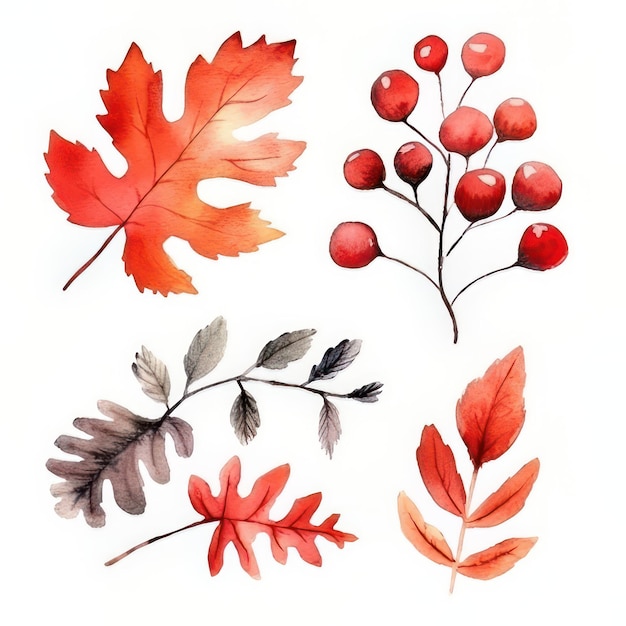 Watercolor set of autumn leaves and ladybugs Hand drawn illustration