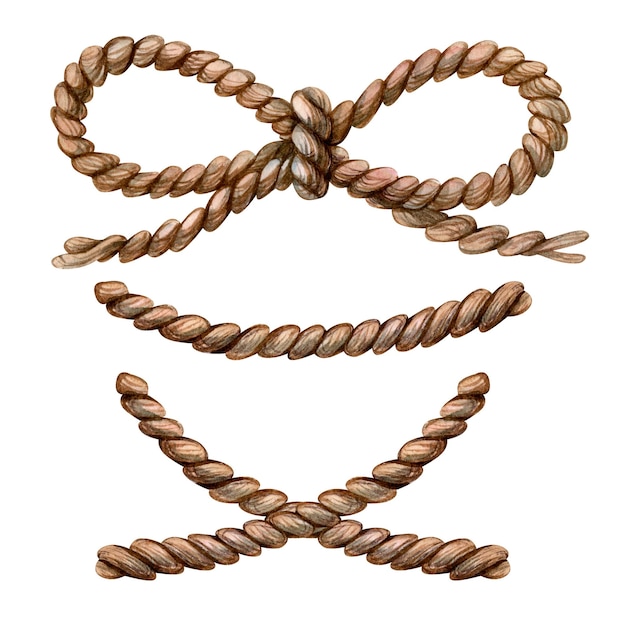 Watercolor set of brown rope bow on a white background