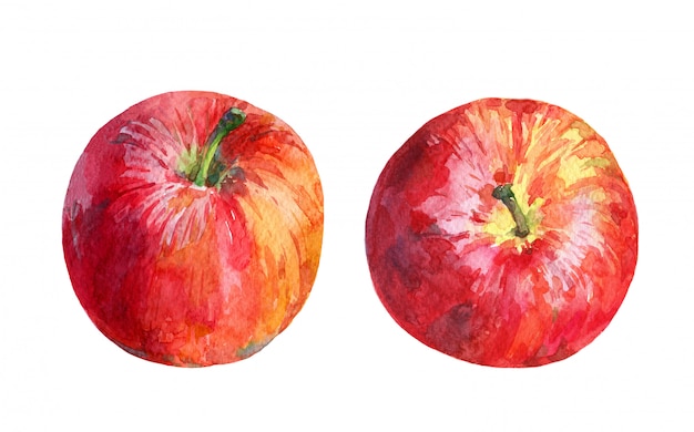 Watercolor set of colorful red apples isolated on white background