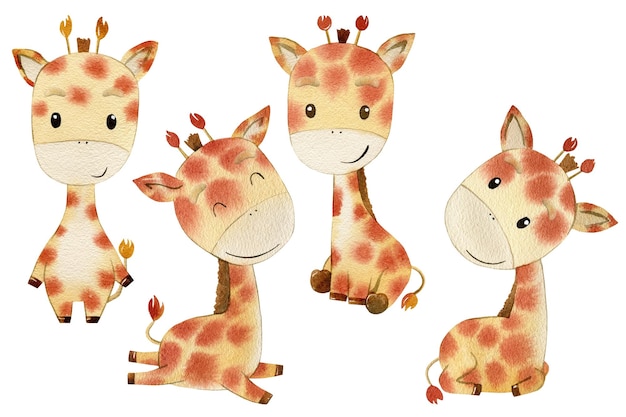 Photo watercolor set of cute giraffes