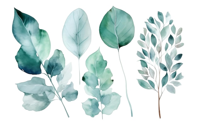 Watercolor set of eucalyptus AI generated illustration