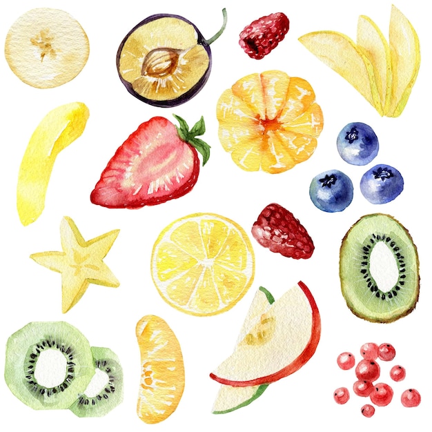 Watercolor set of fresh fruits