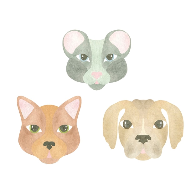 Watercolor set of funny animal faces cat dog and mouse highlighted on a white