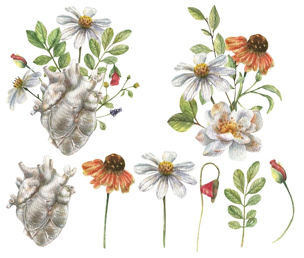 Watercolor set of heart sculpture, a bouquet of delicate wildflowers, daisies. Vintage light academy