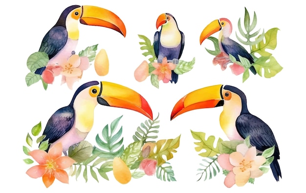 Фото Акварельный набор иллюстраций туканской птицы среди тропических листьев на белом фоне