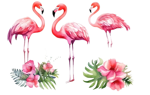 Watercolor set illustration of pink flamingo among tropical flowers isolated on white background