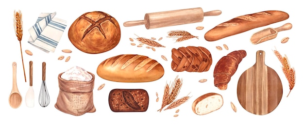watercolor set kitchen tools and bread