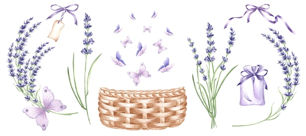 Watercolor set lavender flowers with wicker basket bag for herb butterflies isolated hand drawn