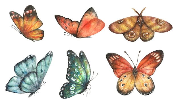 사진 다채로운 밝은 나비의 수채화 세트