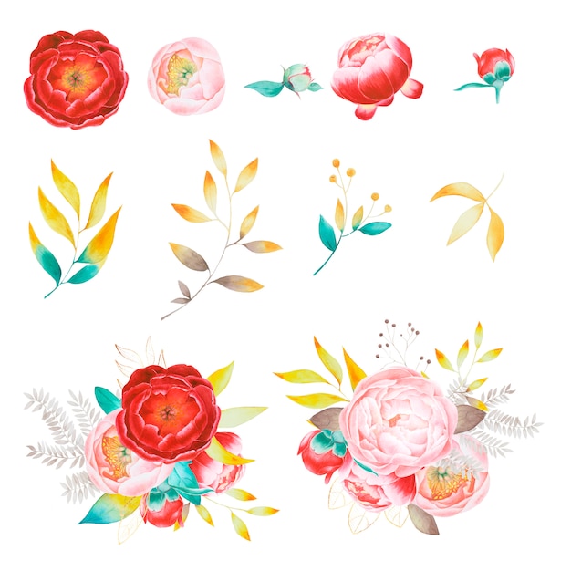 Watercolor set of peonies and leaves