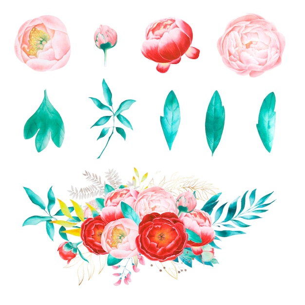 Watercolor set of peonies and leaves