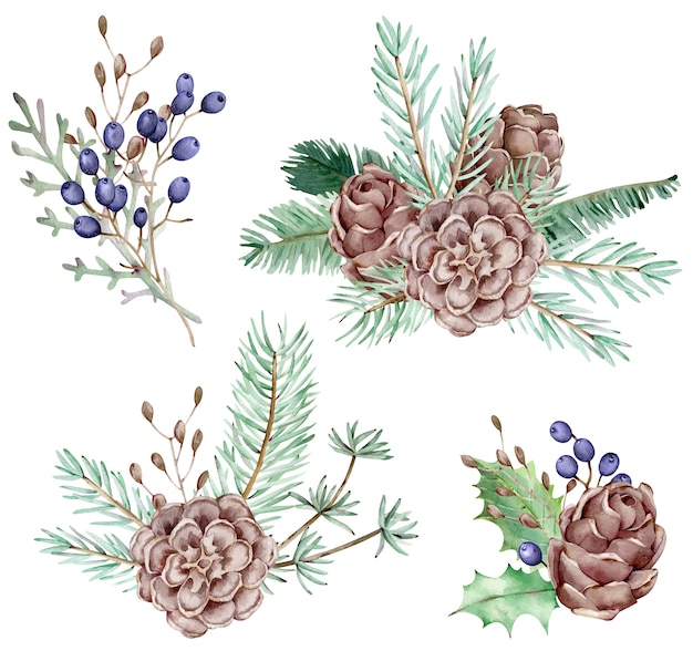 Watercolor set of pine branches and cones with blue berries, needles on the white background, decorative botanical illustration for design, Christmas plants.