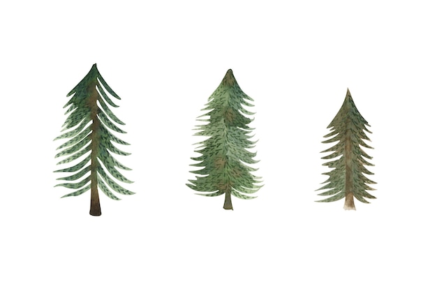 Watercolor set of pine trees