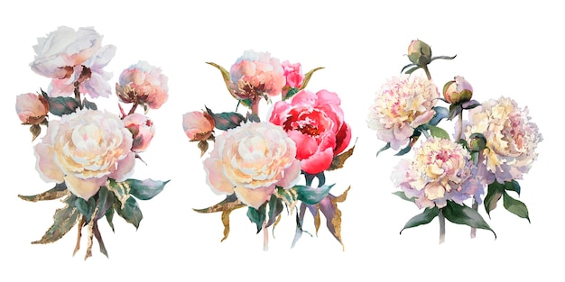 Watercolor set of pink and white peonies bouquet with golden potal.