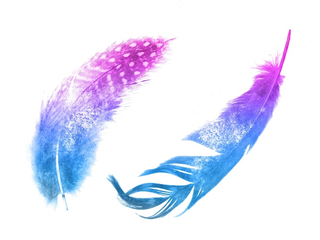 Watercolor set. two feathers. isolated on white background