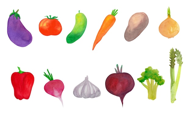 Watercolor set of vegetables