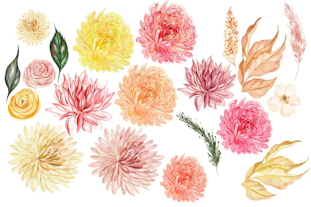 秋の葉クリスアンテム野生の花ランンキュルスで水彩画セット