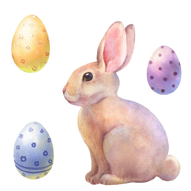 watercolor set with easter eggs and rabbit cute vintage bunny isolated on white background drawing