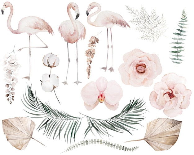플라밍고 새가 말린 잎과 열대 꽃 삽화가 있는 수채화 세트