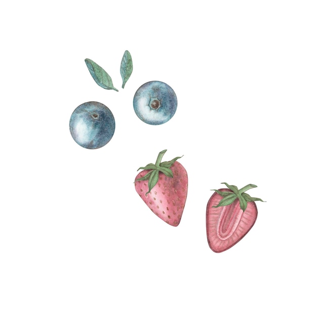 빈티지 스타일의 흰색 배경에 딸기 블루베리와 녹색 잎이 있는 수채화 세트