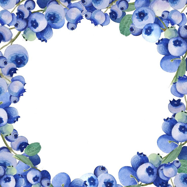 Watercolor sguare blueberry frame