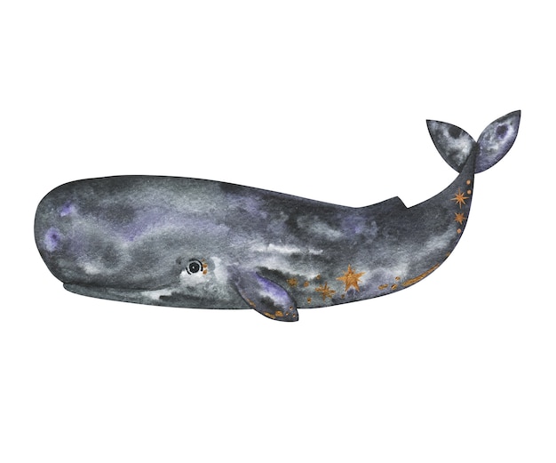 Photo watercolor sperm whale isolated, whale hand drawn illustration, sea and ocean animals clipart