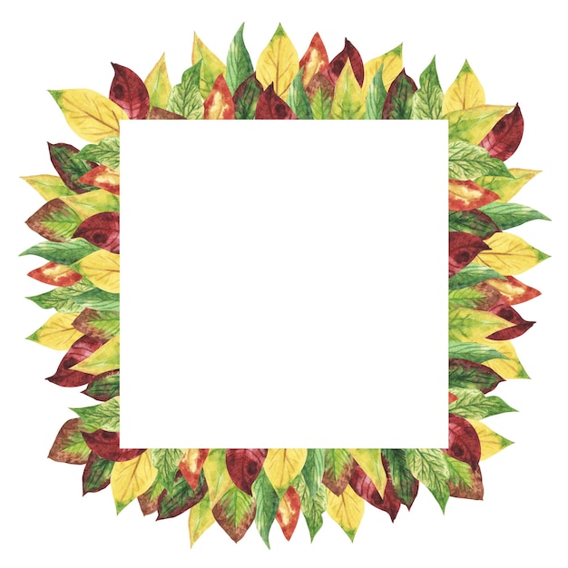 Watercolor square frame Hand drawn autumn leaves collected in a frame for an inscription Autumn