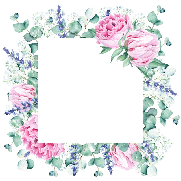 Watercolor square frame pink peonies eucalyptus gypsophila and lavender branches hand drawn