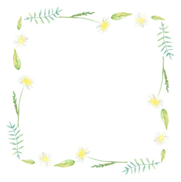 Watercolor Square Frame With Daisy Flowers