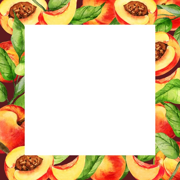 watercolor square white frame with illustration of summer fruit peach or apricot nectarine on a branches with green leaves sketch of sweet food with slices of fruits brown background