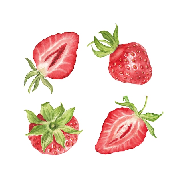 Photo watercolor strawberry collection summer berries