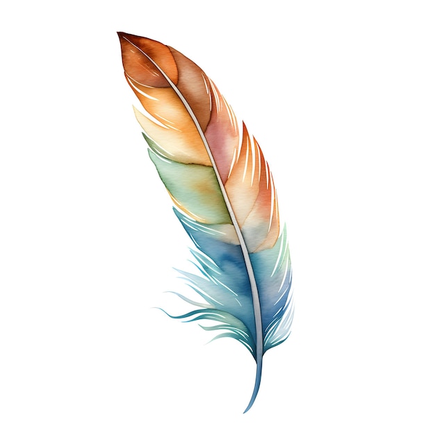 Watercolor style bird feather
