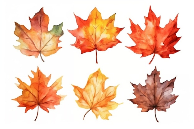 Watercolor style Maple Leaf Set on White Background Generative AI