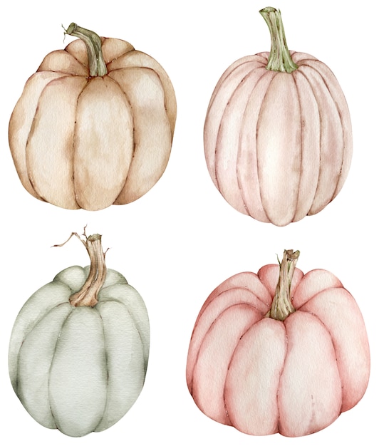 Watercolor thanksgiving pumpkin clipart.