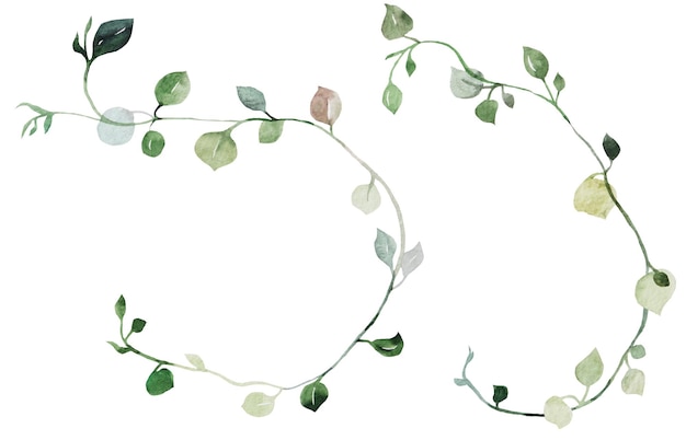 Watercolor tiny twigs with green leaves isolated illustration botanical wedding element