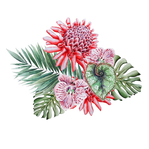 Watercolor tropical bouquet with flowers. Illustration. Hand drawn.