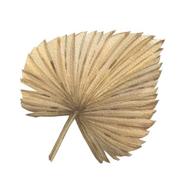 watercolor tropical leaf illustration boho style neutral tones design wedding decor