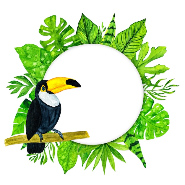 수채화 열대 나뭇잎 프레임과 큰 부리 새