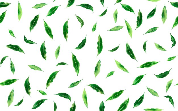 Watercolor tropical leaves seamless pattern background