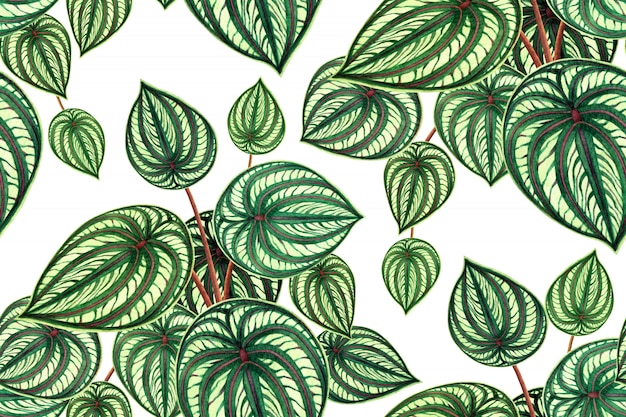 Watercolor tropical leaves seamless pattern background.