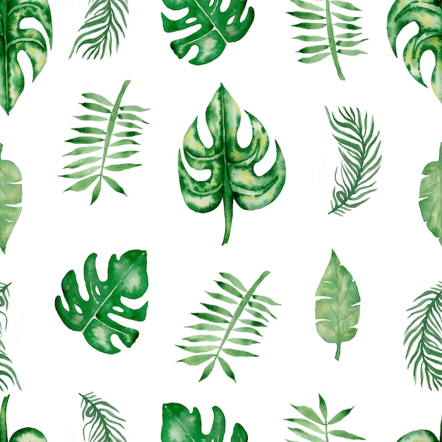 Watercolor tropical leaves seamless pattern. Hand drawn green tropic leaf pattern.