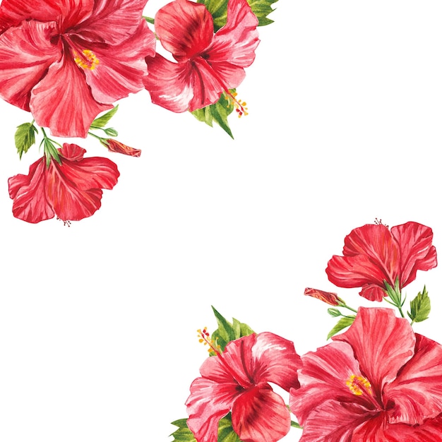 Piante tropicali ad acquerello fiori di ibisco cornice per iscrizioni illustrazione botanica ad acquerello sfondo con spazio per testo perfetto per biglietti di auguri inviti di nozze banner