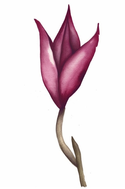 A watercolor of a tulip flower with a leaf on the stem.