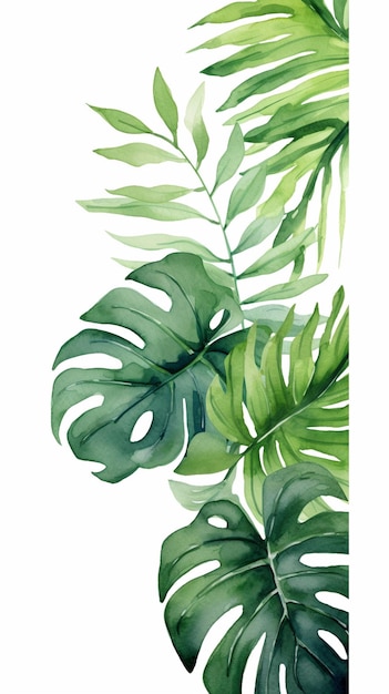 Photo watercolor vector banner tropical leaves illustration