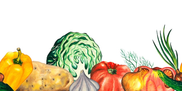 Watercolor vegetables seamless horizontal border with cabbage tomato cucumber green onion garlic