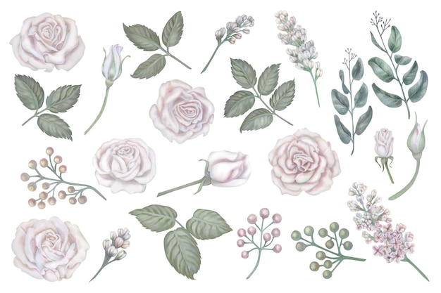Акварель винтажный набор белых роз зеленые листья лилавый эвкалипт в пастельном цвете для свадьбы