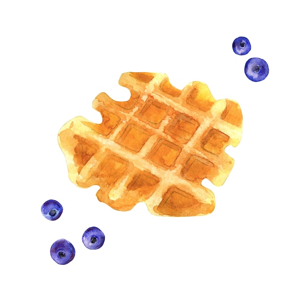 Photo watercolor waffle with blueberries