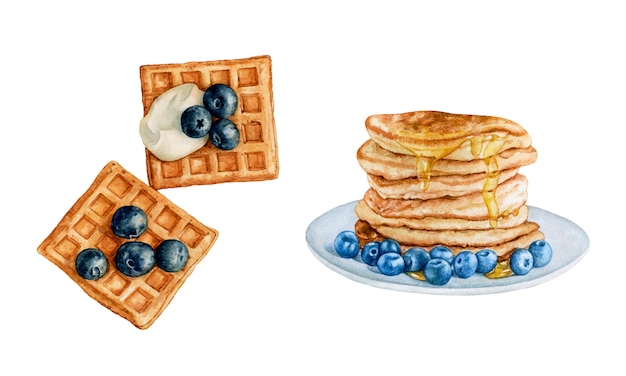 Watercolor waffles, pancakes with blueberries