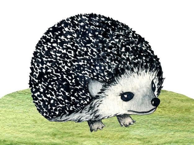 Watercolor wild forest animals hedgehog on forest lawn scene Nature illustration for kids design