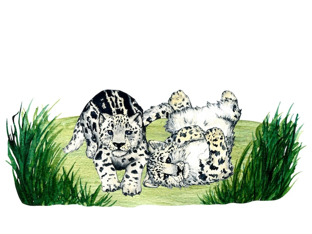 Watercolor wild forest animals snow leopard kitten irbis on forest lawn scene for nursery design